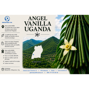 Vanille Ouganda